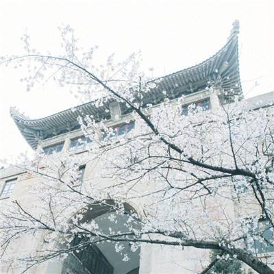 美国官方统计的非法移民入境8月以来超过出生人口，“大置换理论”成为话题