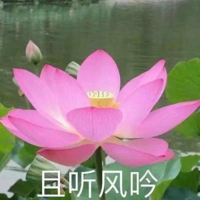 8188www威尼斯