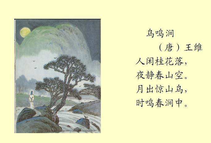 央视2024跨年晚会阵容